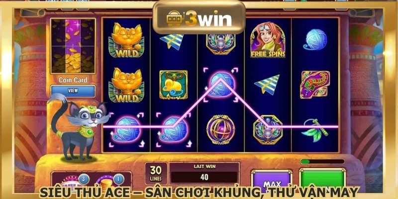 Siêu Thủ ACE